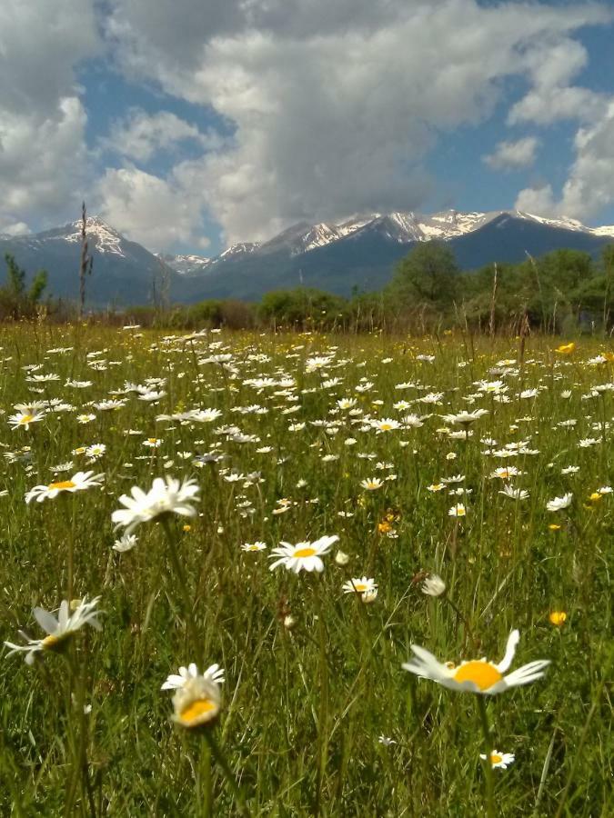 Belvedere Luxury Spa Apartments Bansko Exterior foto